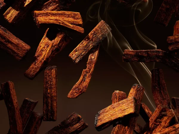 Black Oudh Refill Fragrance Sticks | Rituals Hot