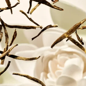 Body Lotion Mousse | Rituals Fashion