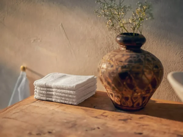 Cotton Guest Towel | Rituals Best