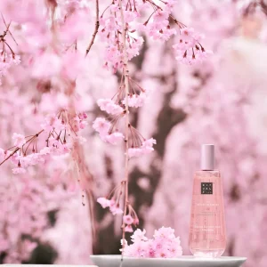 Dry Body Oil | Rituals Sale