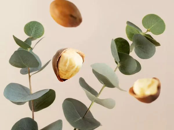 Fortune Balms - Repair | Rituals Fashion