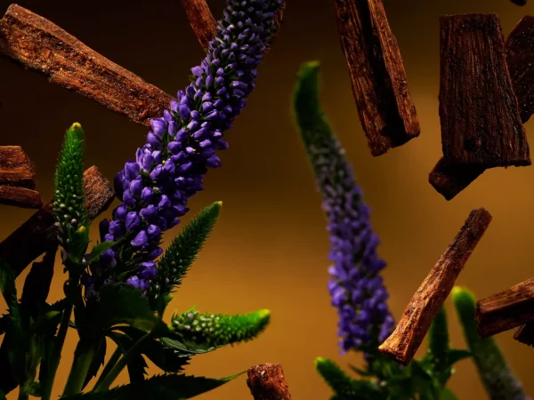 Fragrance Sticks | Rituals Store