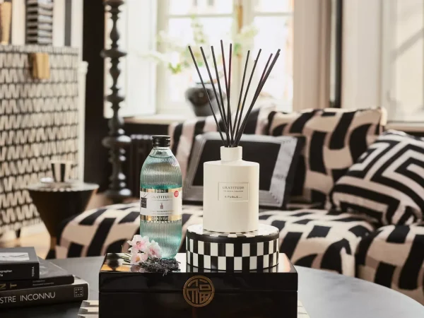 Gratitude Refill Fragrance Sticks | Rituals Flash Sale