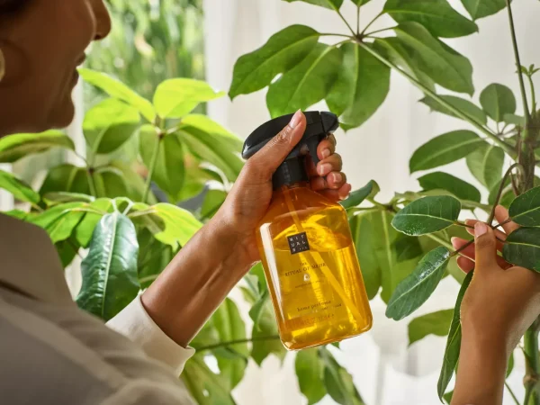 Home Perfume | Rituals Hot
