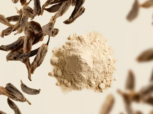 Mild Body Scrub | Rituals Store