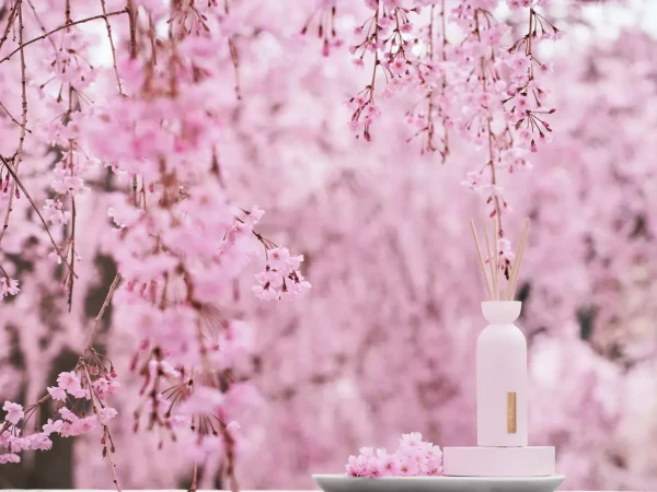 Mini Fragrance Sticks | Rituals Online