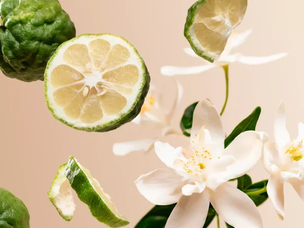 Positivity Wardrobe Fragrance | Rituals Outlet