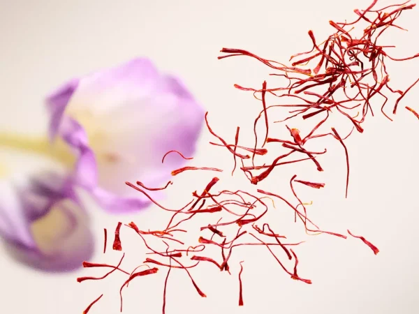 Remembrance Candle | Rituals Fashion