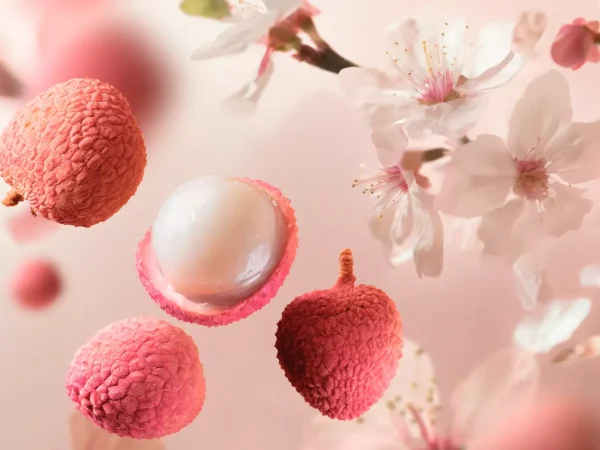 Rêve de Hanami | Rituals Best Sale