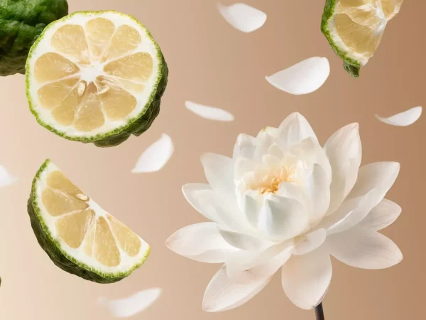 Soleil d'Or | Rituals Cheap