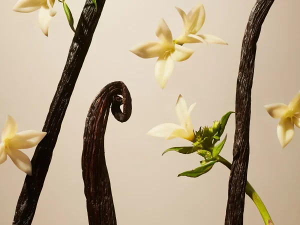Suede Vanilla Mini Fragrance Sticks | Rituals Shop