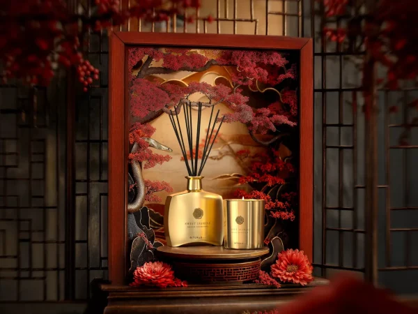 Sweet Jasmine Fragrance Sticks | Rituals Best