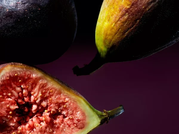 Wild Fig Car Perfume | Rituals Flash Sale