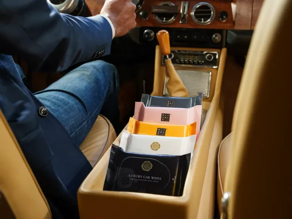 Wild Fig Car Wipes | Rituals Cheap