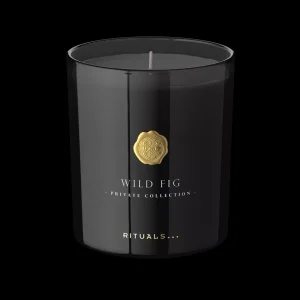 Wild Fig Scented Candle | Rituals Cheap